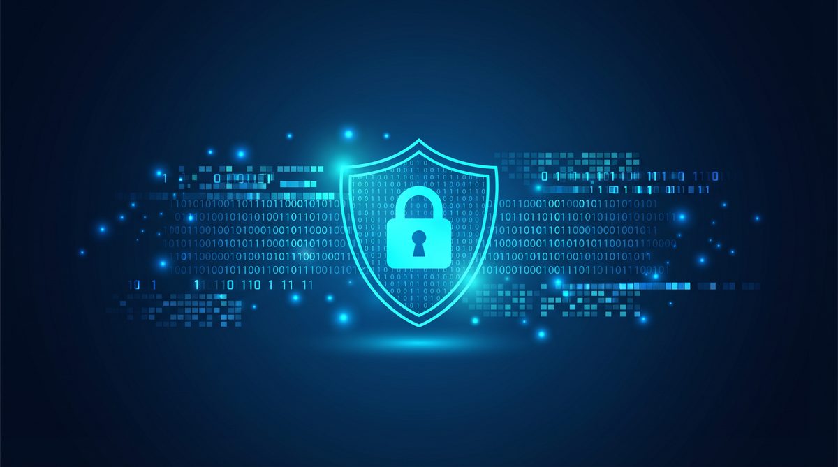 本体加速器隐私安全保护